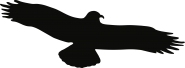 Piktogramm Vogel einzeln schwarz, Folie, 330x130 mm 