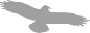Piktogramm Vogel einzeln grau, Folie, 330x130 mm 
