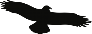Piktogramm Vogel einzeln schwarz, Folie, 330x130 mm 