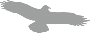 Piktogramm Vogel einzeln grau, Folie, 330x130 mm 