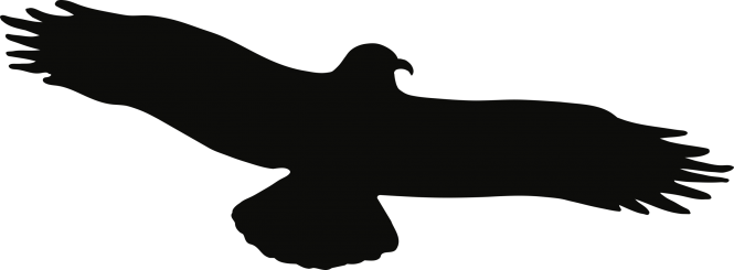 Piktogramm Vogel einzeln schwarz, Folie, 475x175 mm 