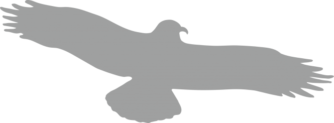 Piktogramm Vogel einzeln grau, Folie, 475x175 mm 